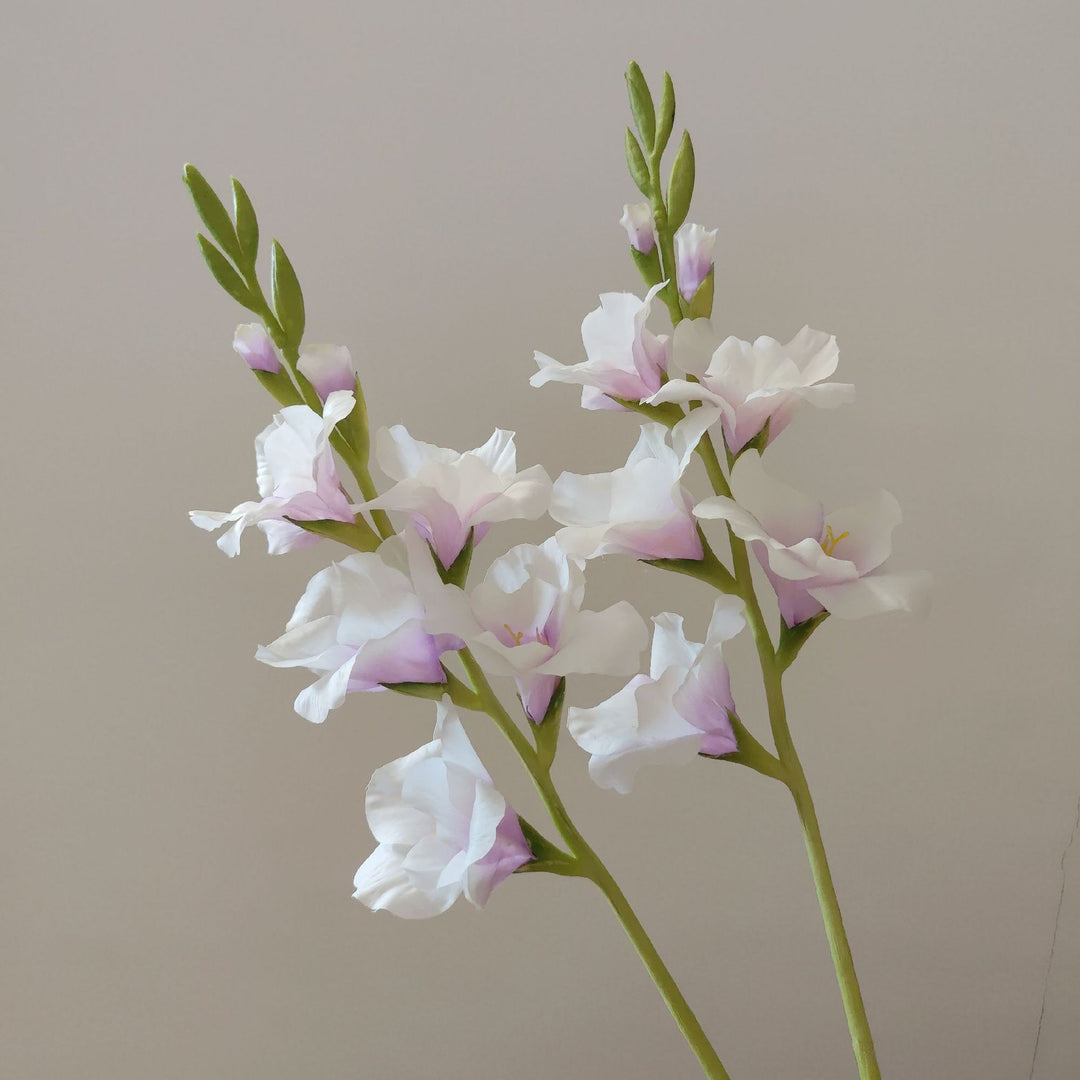 Orchideenblütenstiel