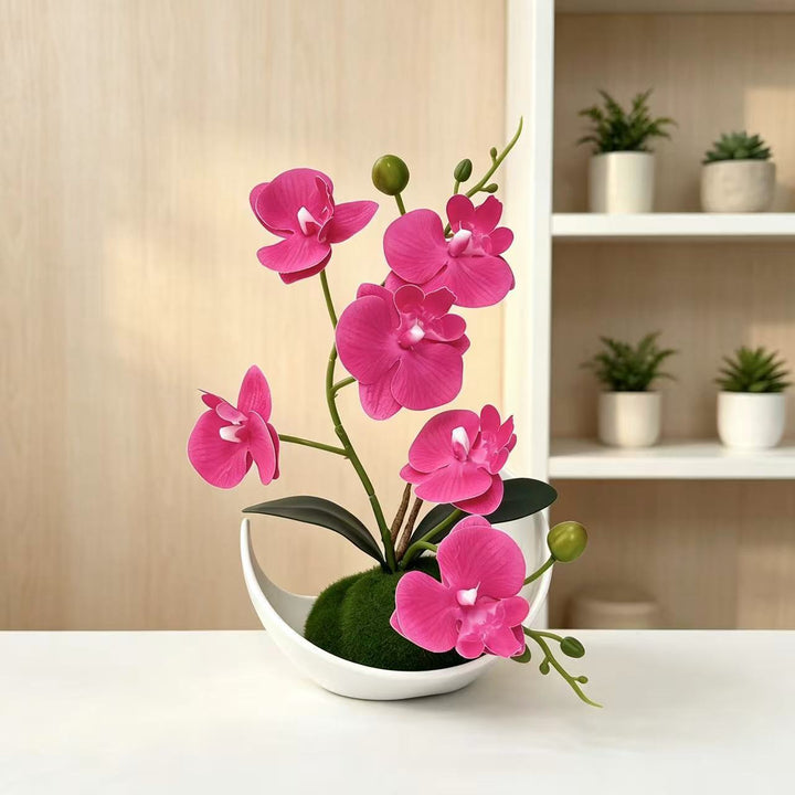 Orchideen Dekorativer Mittelpunkt