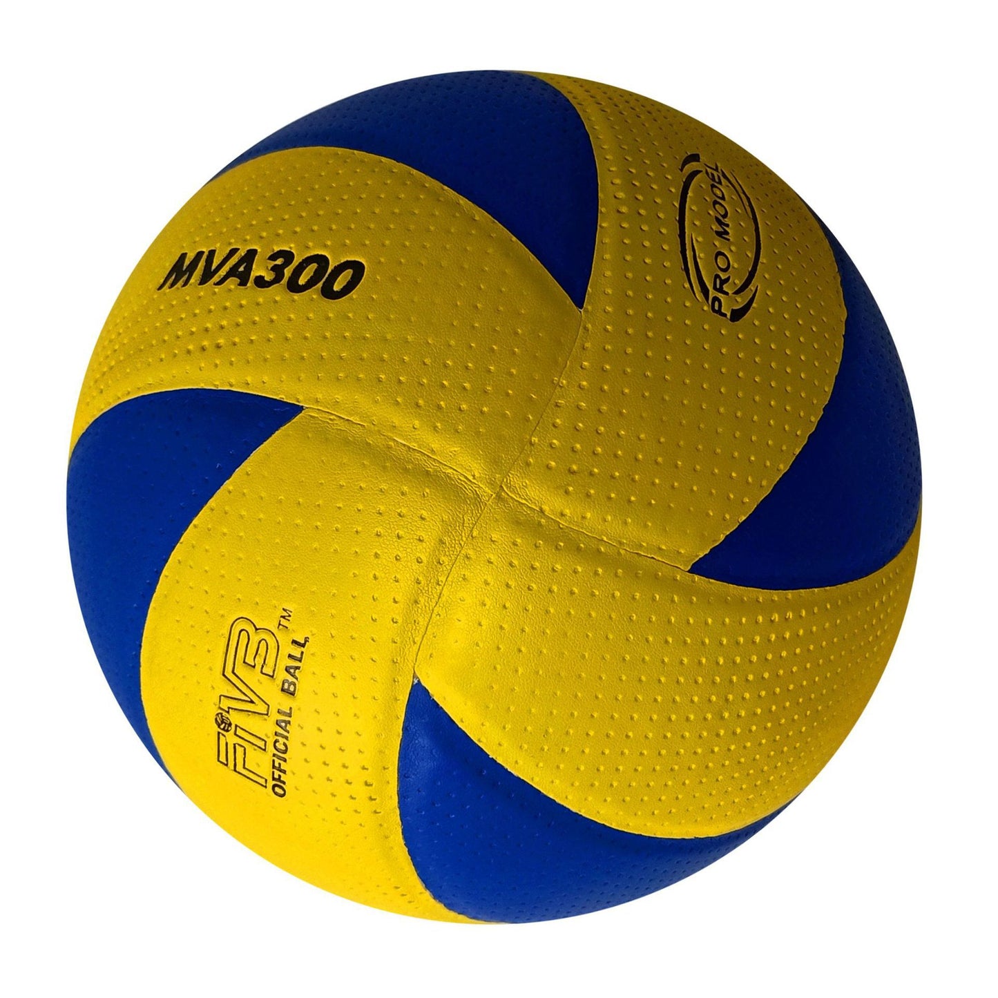 Damen Hochleistungs Volleyball Karnz