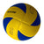 Damen Hochleistungs Volleyball Karnz
