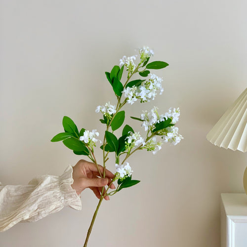 Dekorative Botanische Stängelanordnung