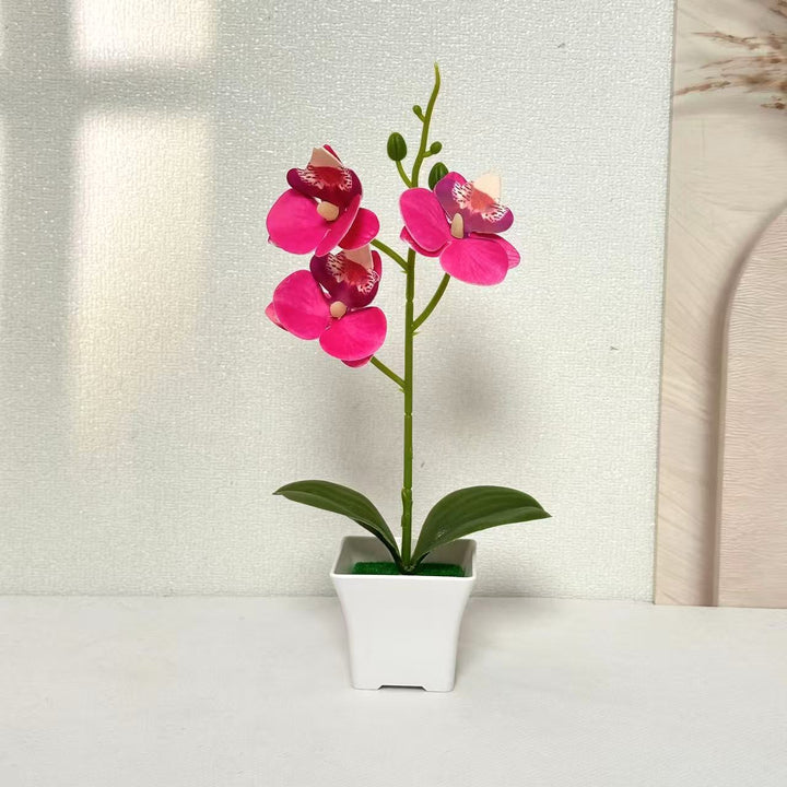 Künstliche Orchideenarrangements für Wohn- und Bürodeko