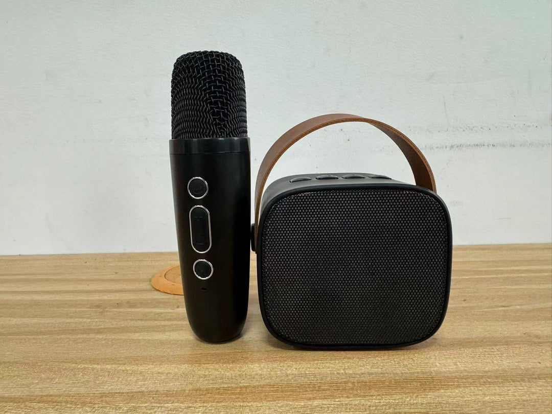 Tragbarer Bluetooth-Lautsprecher mit kabellosem Mikrofon Karnz