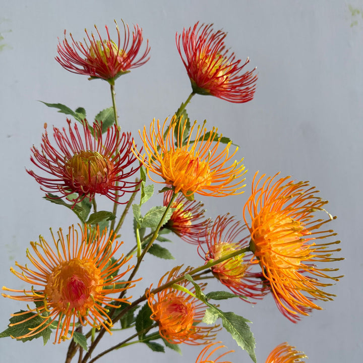 Moderne Blumenarrangement