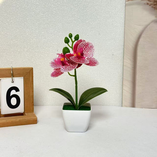 Lebensechte florale Orchideen-Darstellung für die Inneneinrichtung