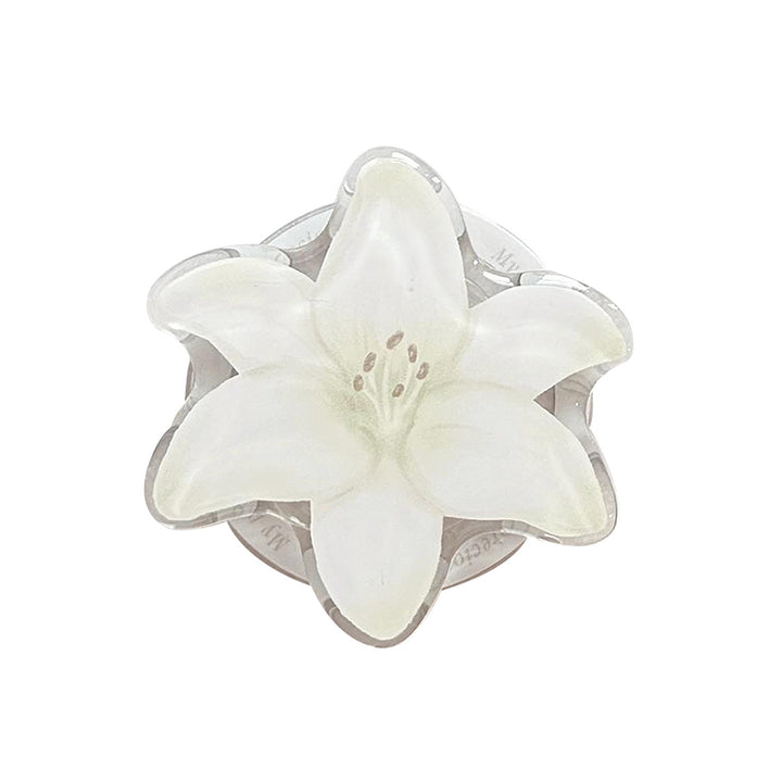 Luxus Handspiegel im floralen Design Karnz