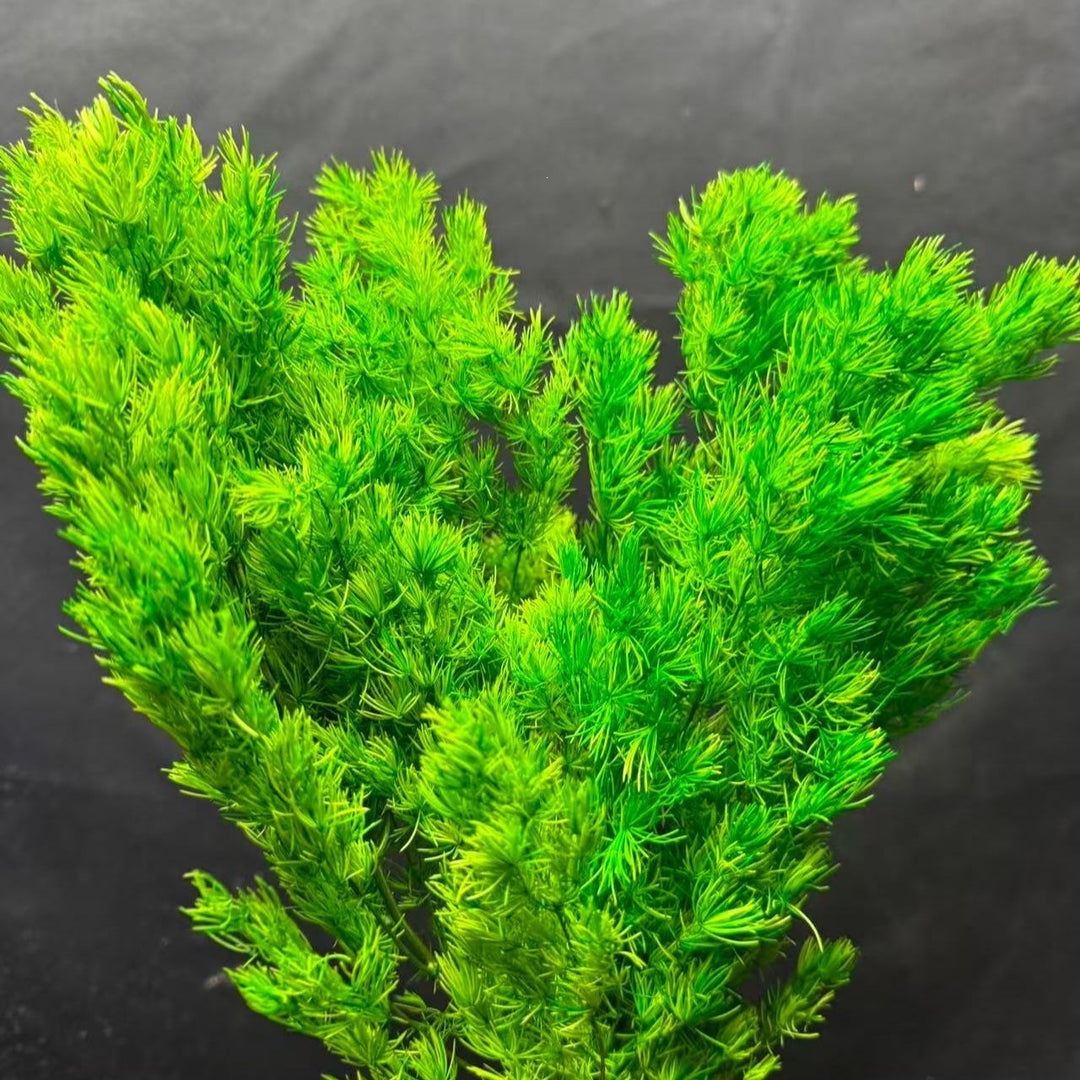 Dekorative Trockenpflanzenarrangement