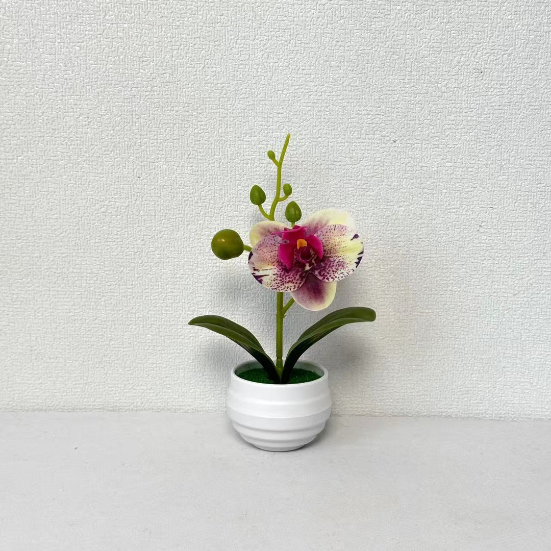 Lebensechte Orchideen Blumenkübel Dekoration