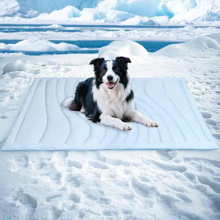 Tier Kuscheldecke Karnz