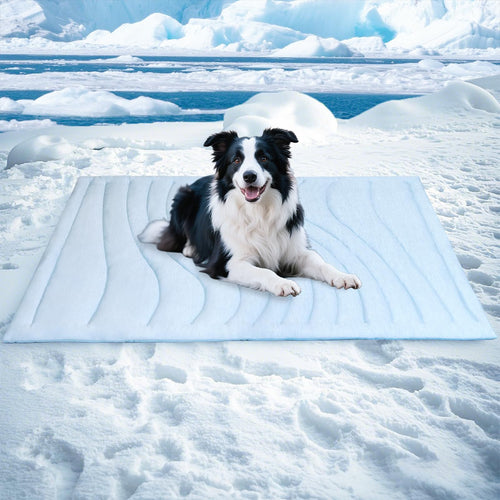 Tier Kuscheldecke Karnz
