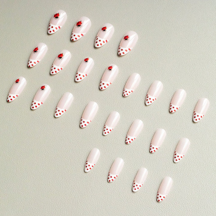 Künstlerisches Marienkäfer-Themen-Nagelkunst-Kit