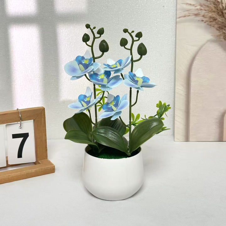 Orchideen Blumenarrangement