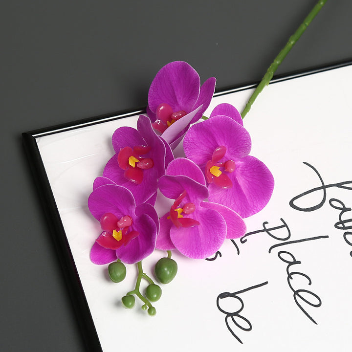 Lebensechter Orchideenblütenstiel