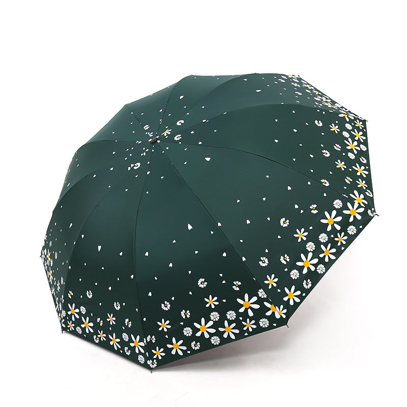 Damen Regenschirm mit floralem Design und verstärktem Rahmen Karnz