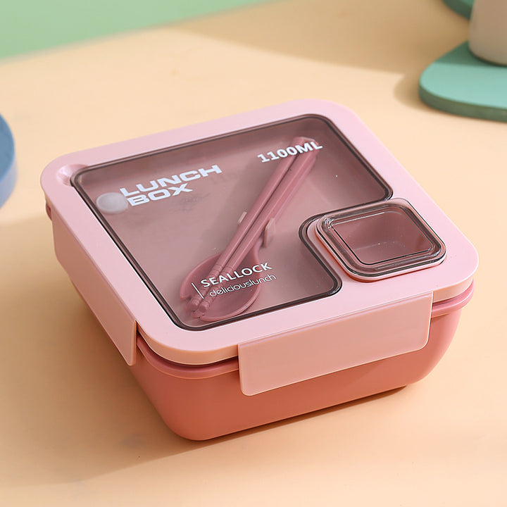 Praktische tragbare Lunchschale