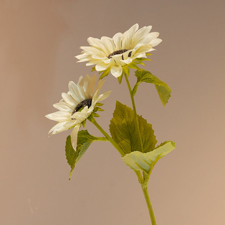 Dekorative Sonnenblume Karnz