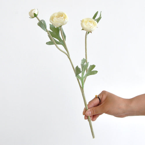 Dekorativer Blumenspross
