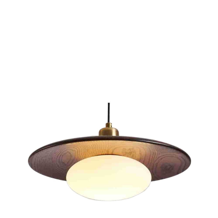 Moderne künstlerische Pendelleuchte