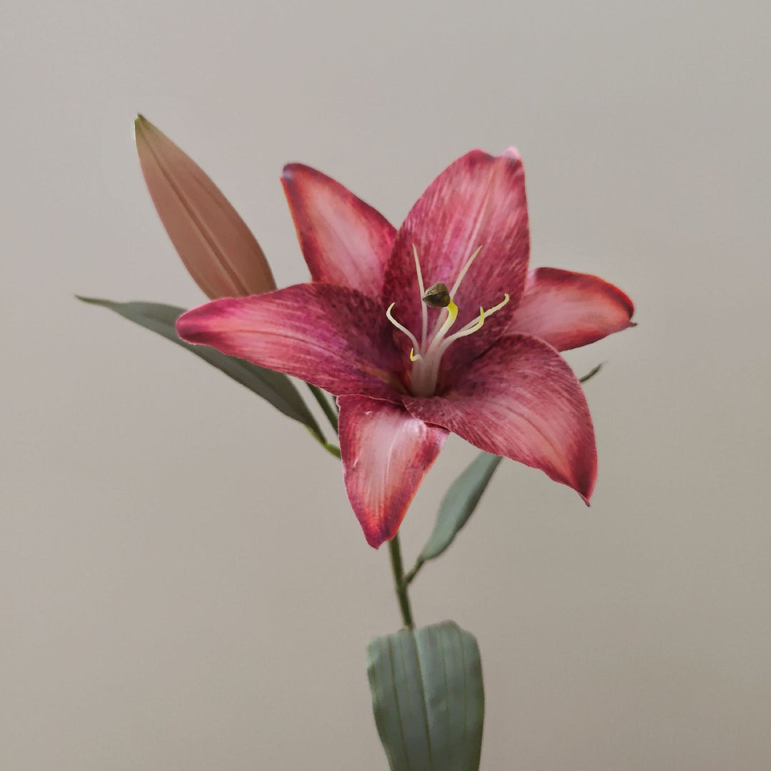 Lebensechte Lilienstiel