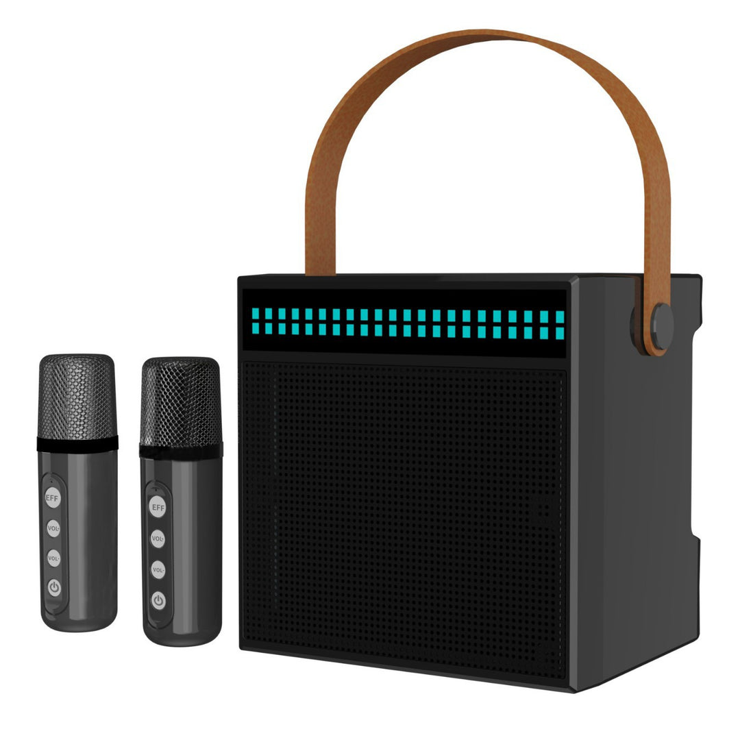 Tragbares Karaoke-System mit Dual-Mikrofonen Karnz