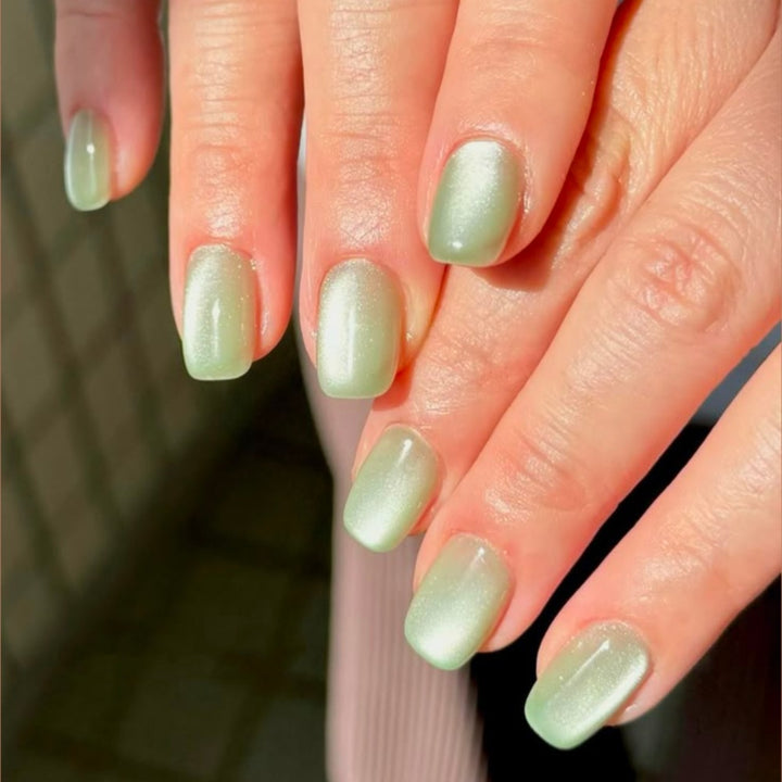 Glänzende Ombre-Nagelspitzen Karnz