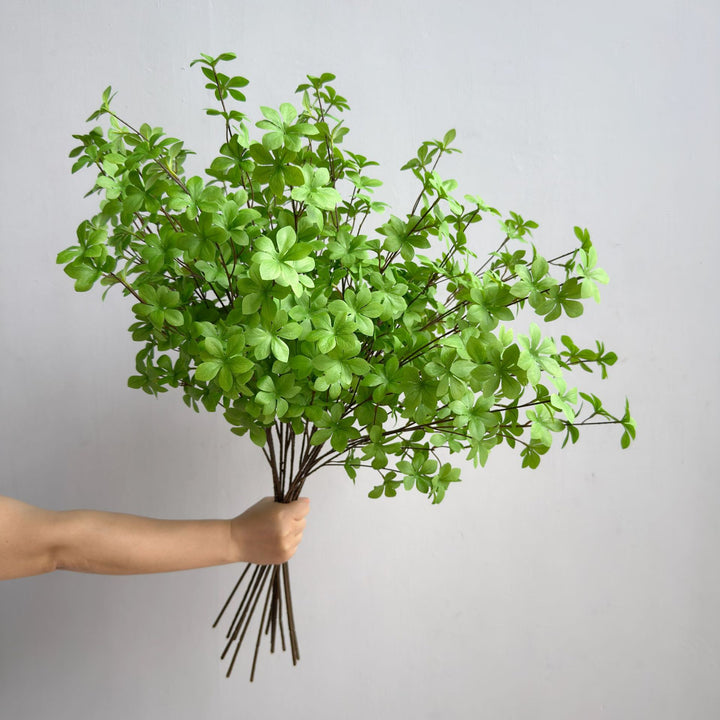 Elegante Dekorative Pflanze