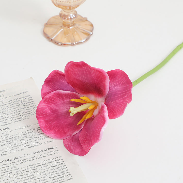 Künstlicher Orchideenblütenzweig mit detailreichen Blüten Karnz