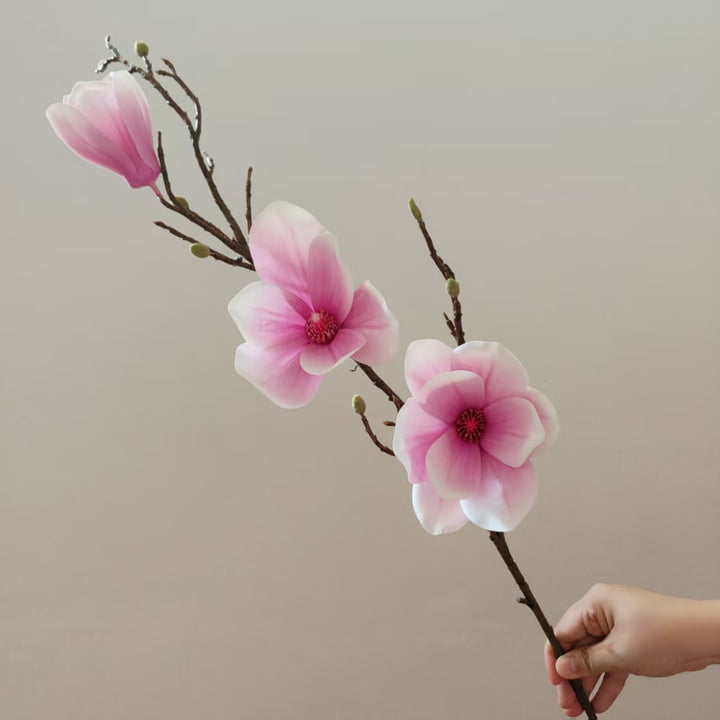 Elegante Magnolienblüte Stiel