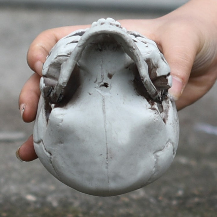 Dekorative Schädelfigur Karnz