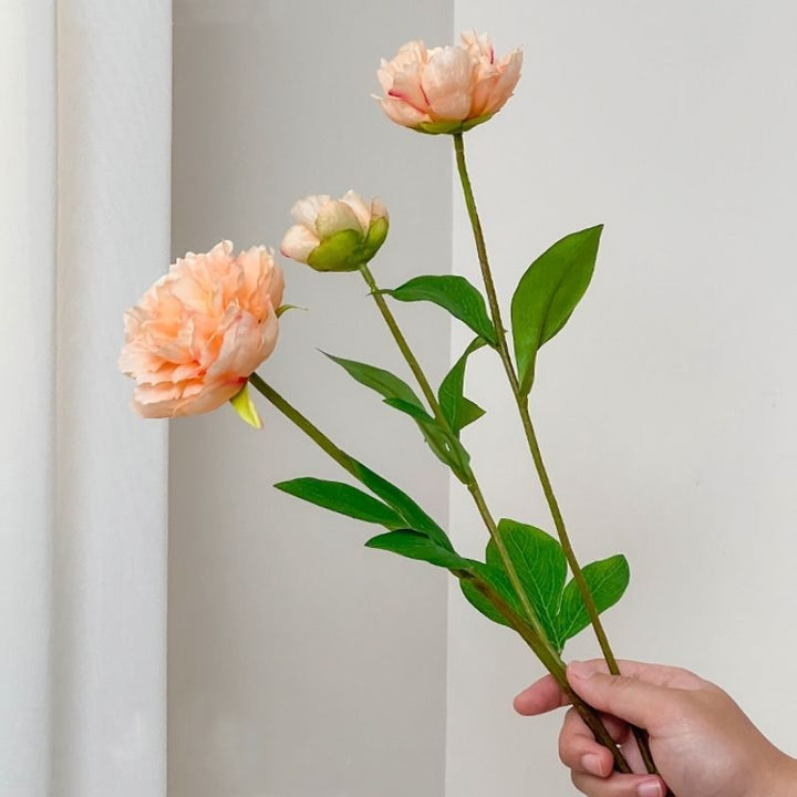 Realistische Pfingstrose Blumenstiel