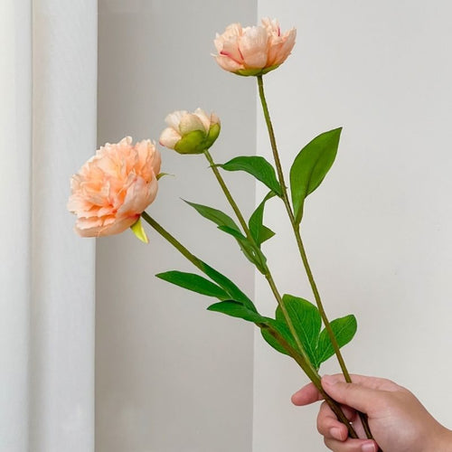 Realistische Pfingstrose Blumenstiel