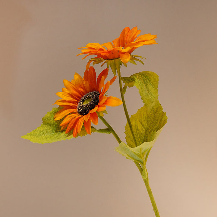 Dekorative Sonnenblume Karnz