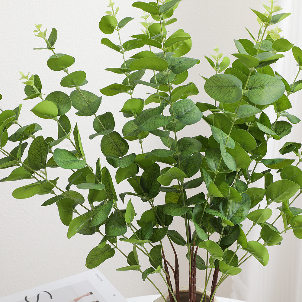 Dekorative Pflanzen Karnz