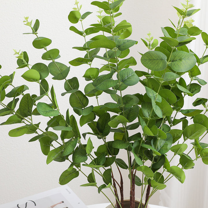 Dekorative Pflanzen Karnz