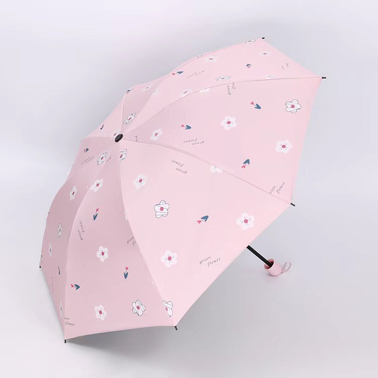 Damen Regenschirm Karnz
