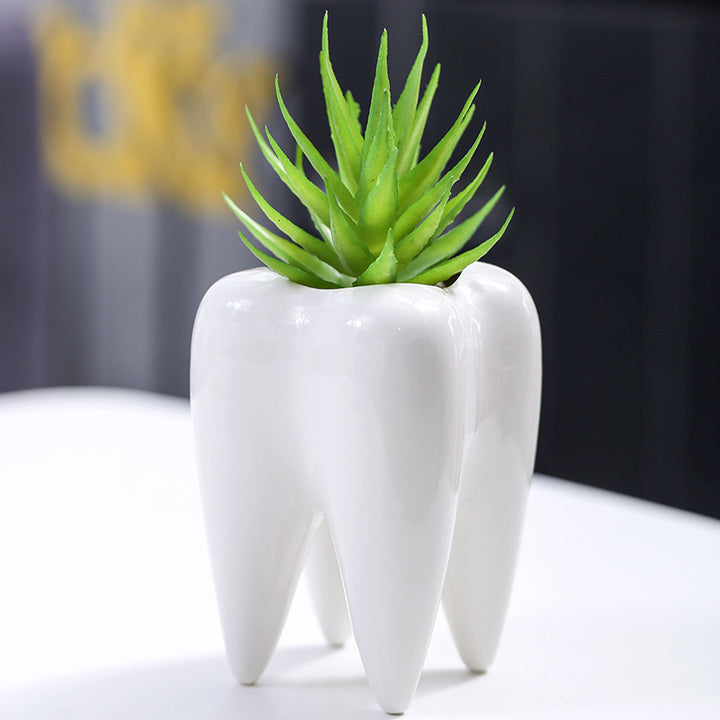 Kreativer zahnförmiger Blumentopf Karnz