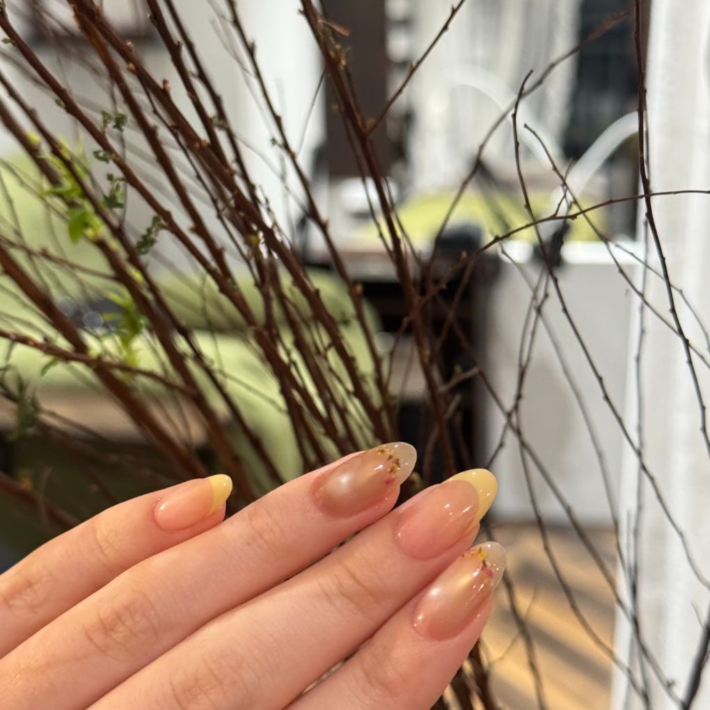 Elegante Ombre French Tip Nagelverlängerungen