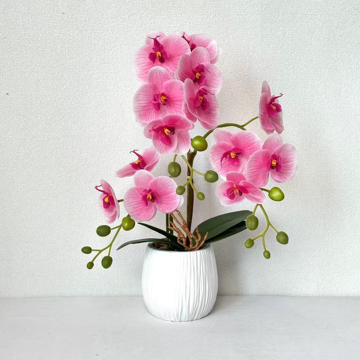 Realistische Orchideen Blumenarrangement