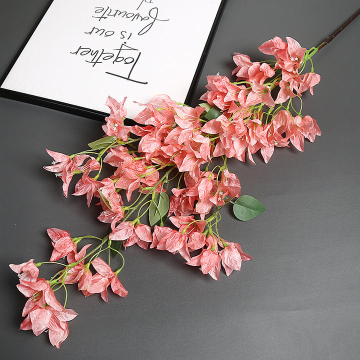 Bougainvillea Blumensstem für Wohnkultur-Display