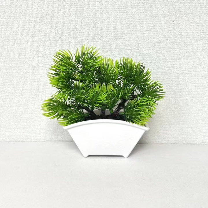 Dekorativer Bonsai-Baum 1790480631 für Wohnkultur