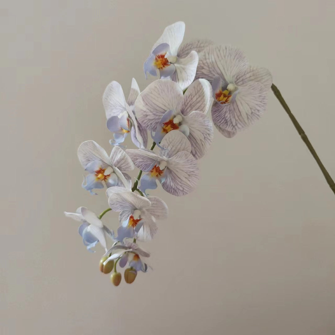 Lebensnahe Orchideenblüten-Ranke