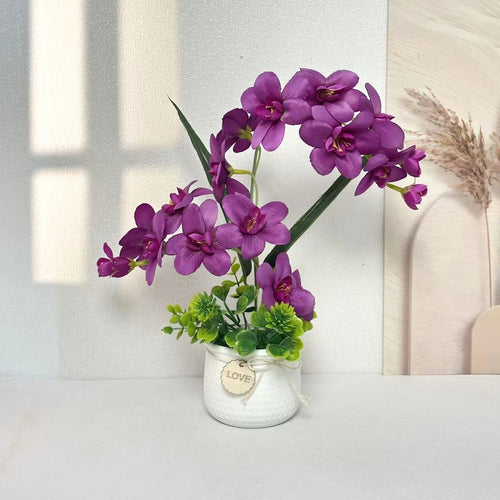 Dekorative Orchideenpflanze Anzeige