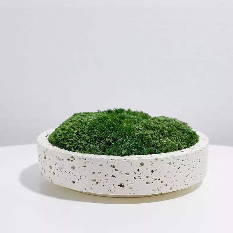 Dekorativer Gartenpflanzer
