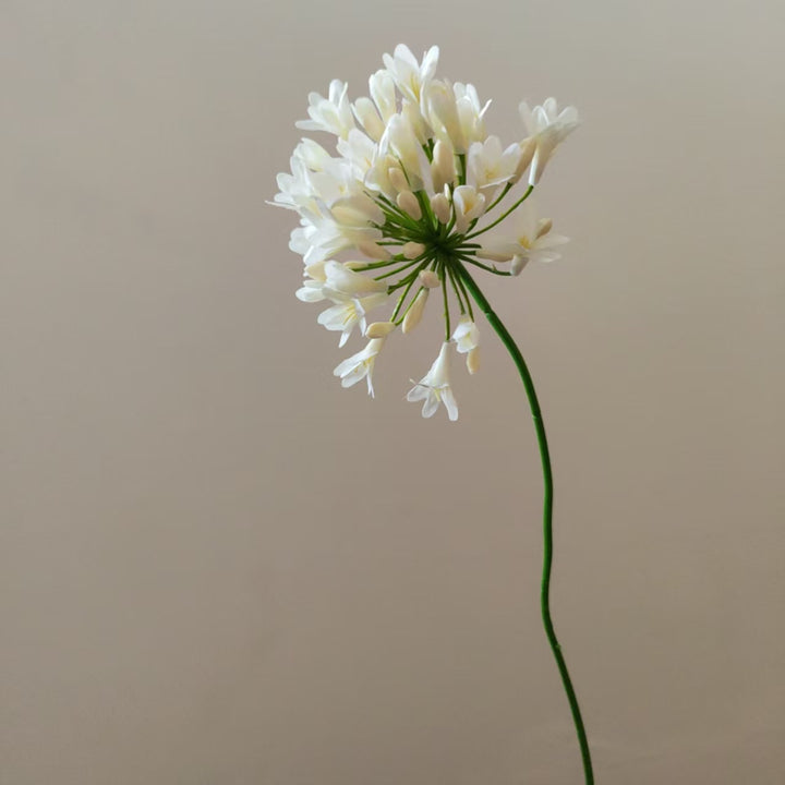 Lebensnahe Botanische Blumenstiel