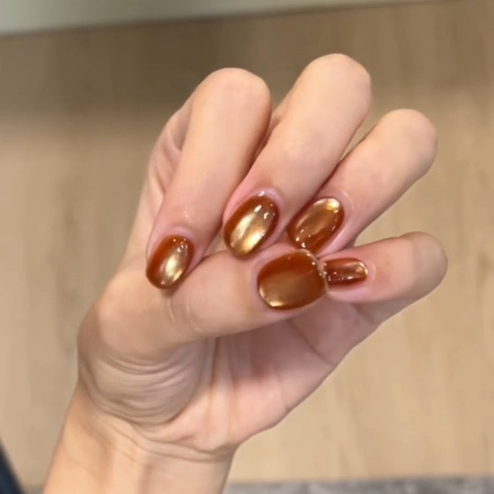 Kunstnägel mit Elegantem Glanz Karnz
