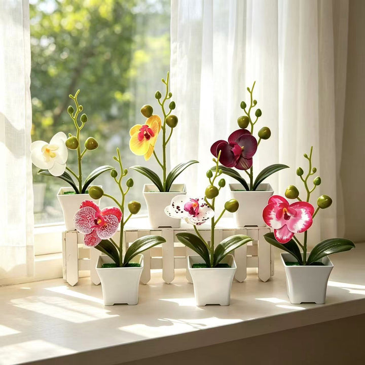 Lebensnahe Miniatur-Orchideenpflanze