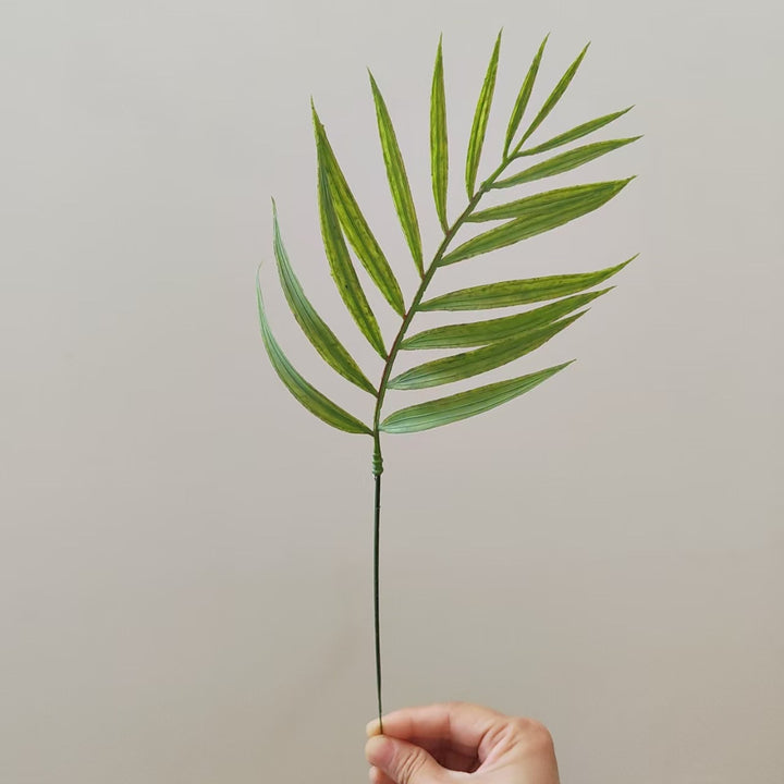 Tropisches Palmenblattstiel