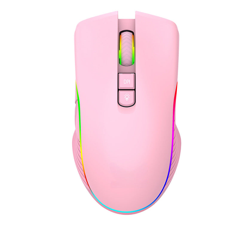 RGB Ergonomische Gaming Maus Karnz