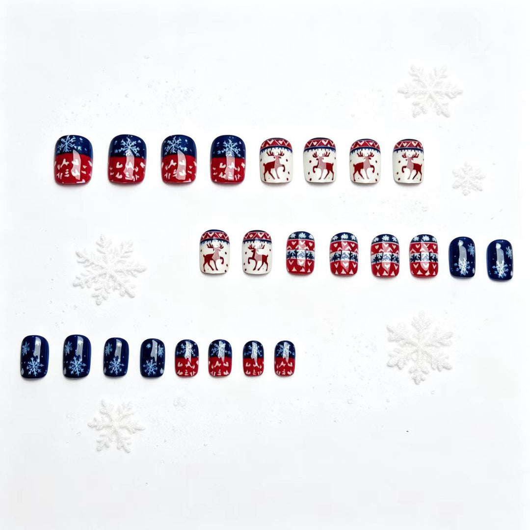 Winterliches Kunstnagelset Karnz