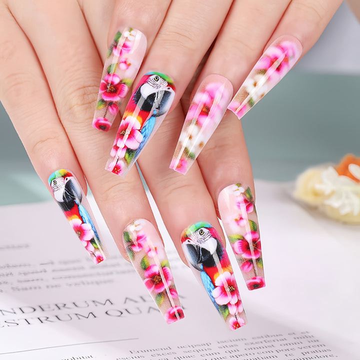 Exquisite Kunstnägel mit buntem Blumen- und Papageienmotiv Karnz